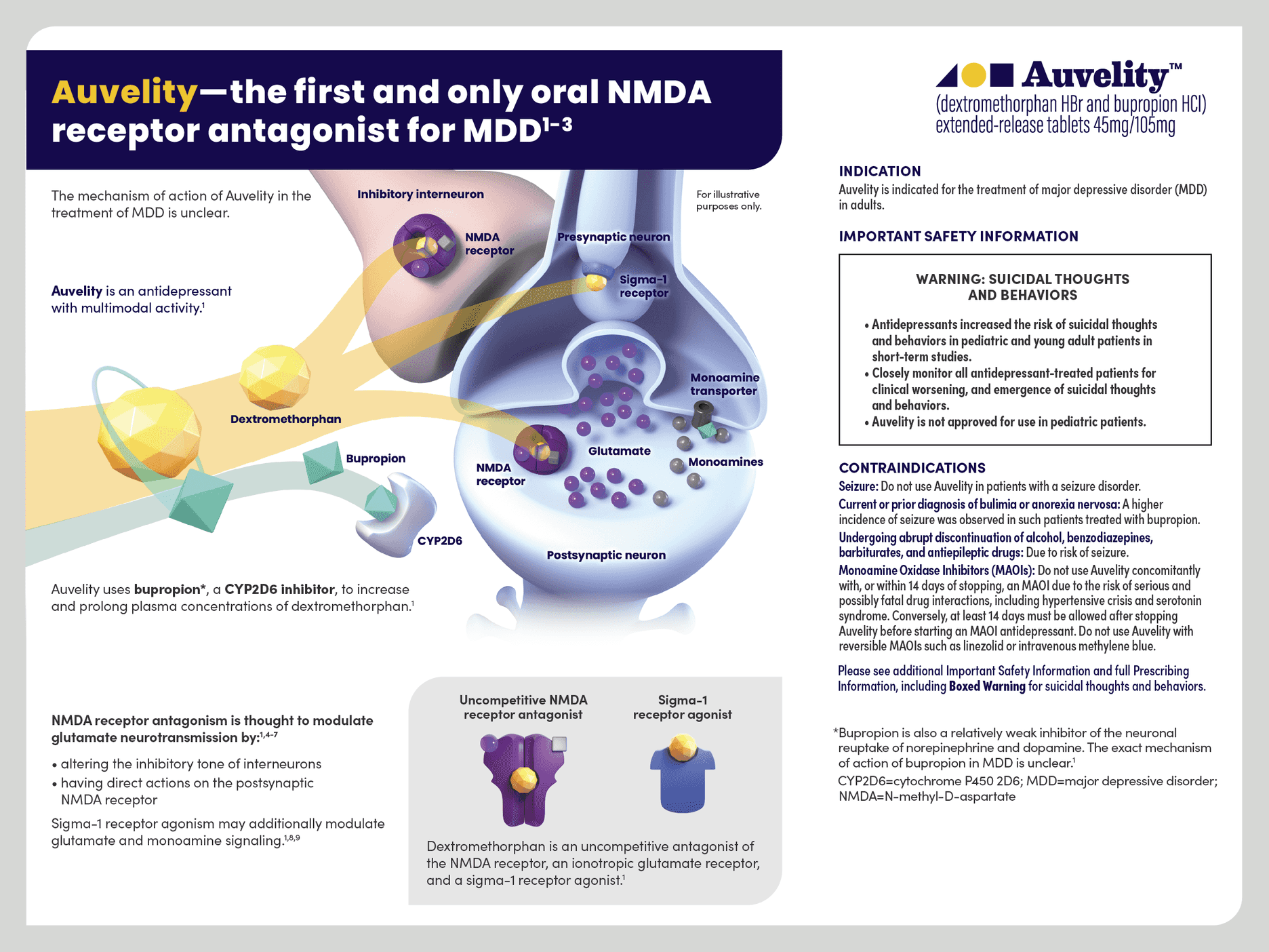 Mechanism Of Action - Auvelity (dextromethorphan-bupropion)